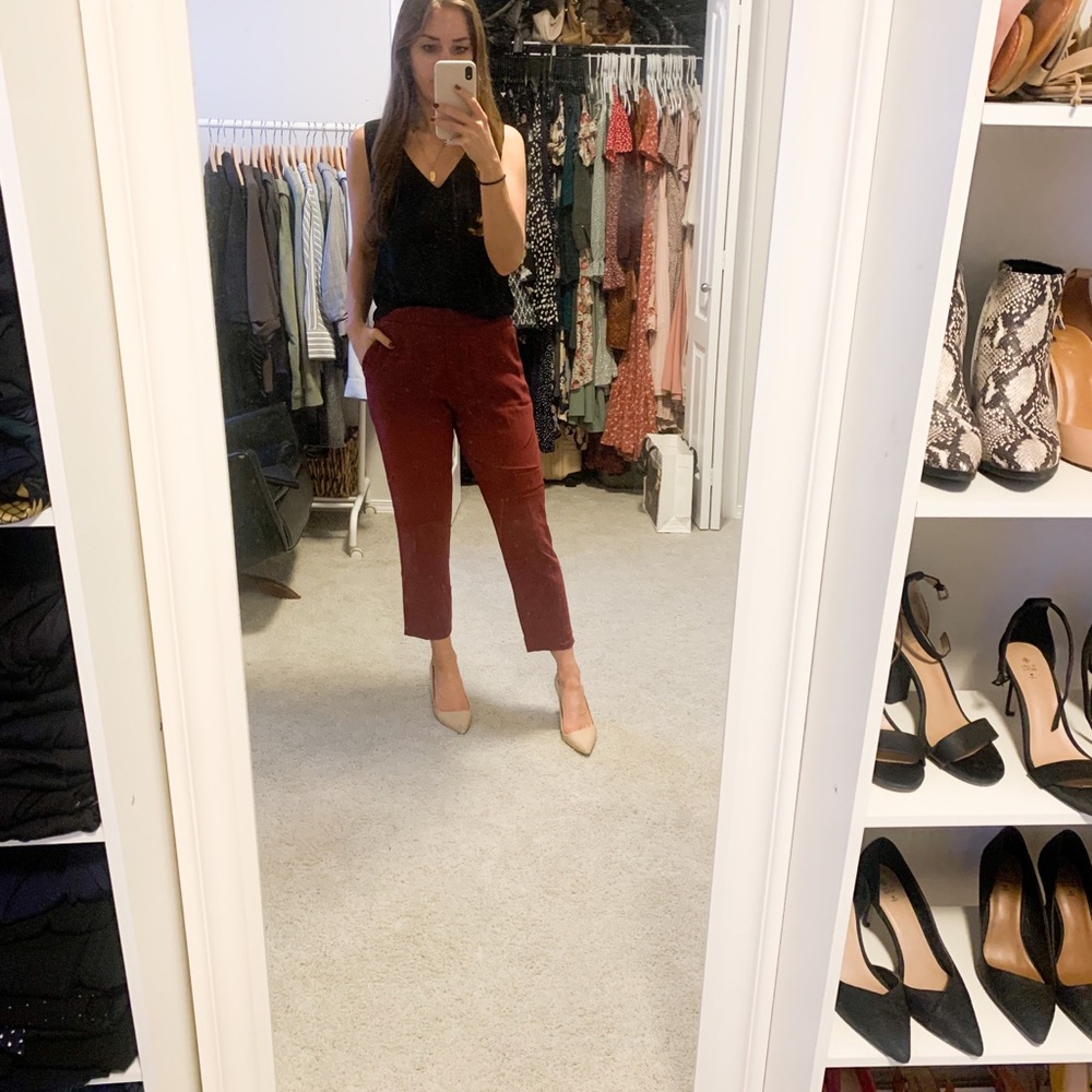 Aritzia Conan Pant